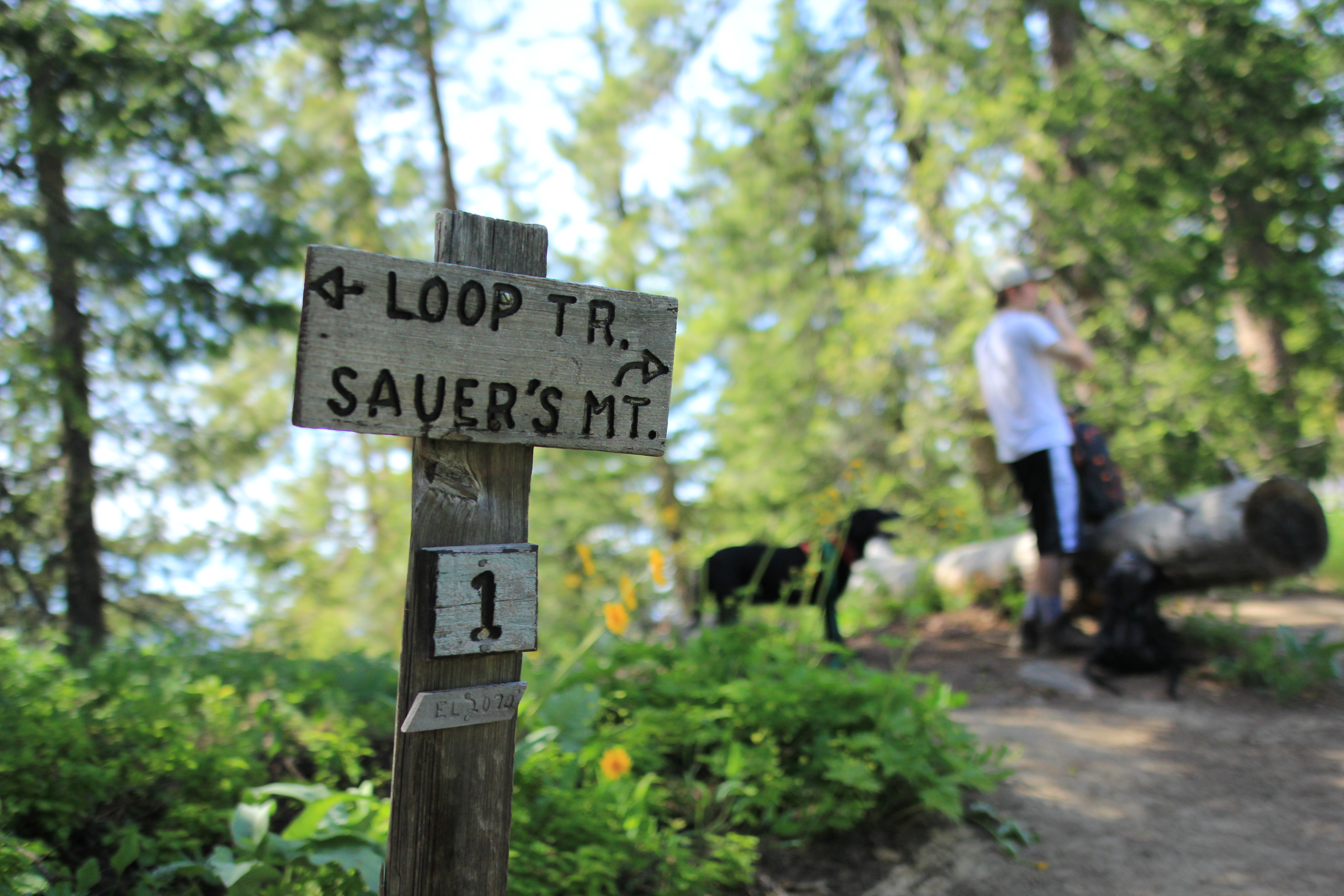 Hike Sauer’s Mountain