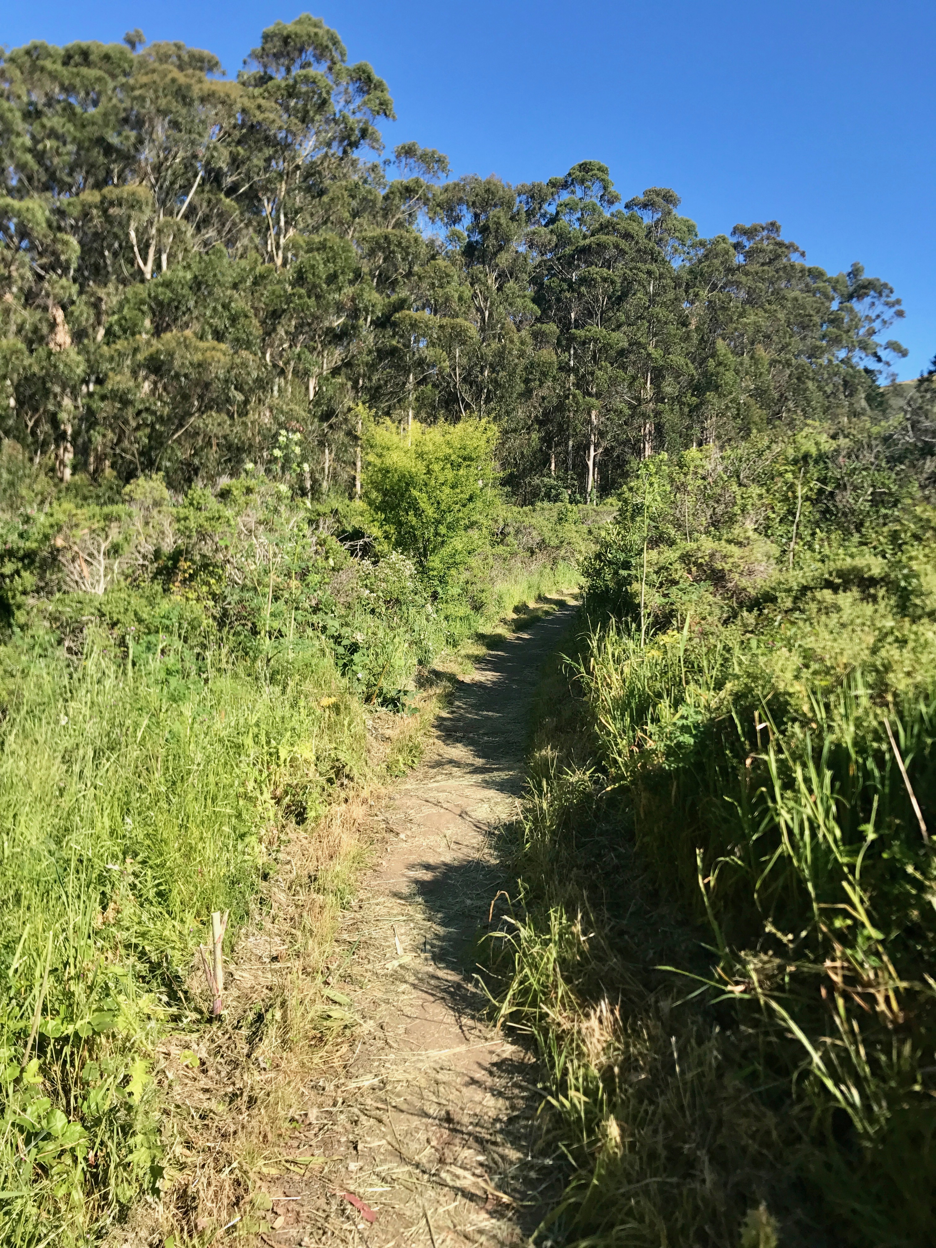 Coyote Ridge Loop