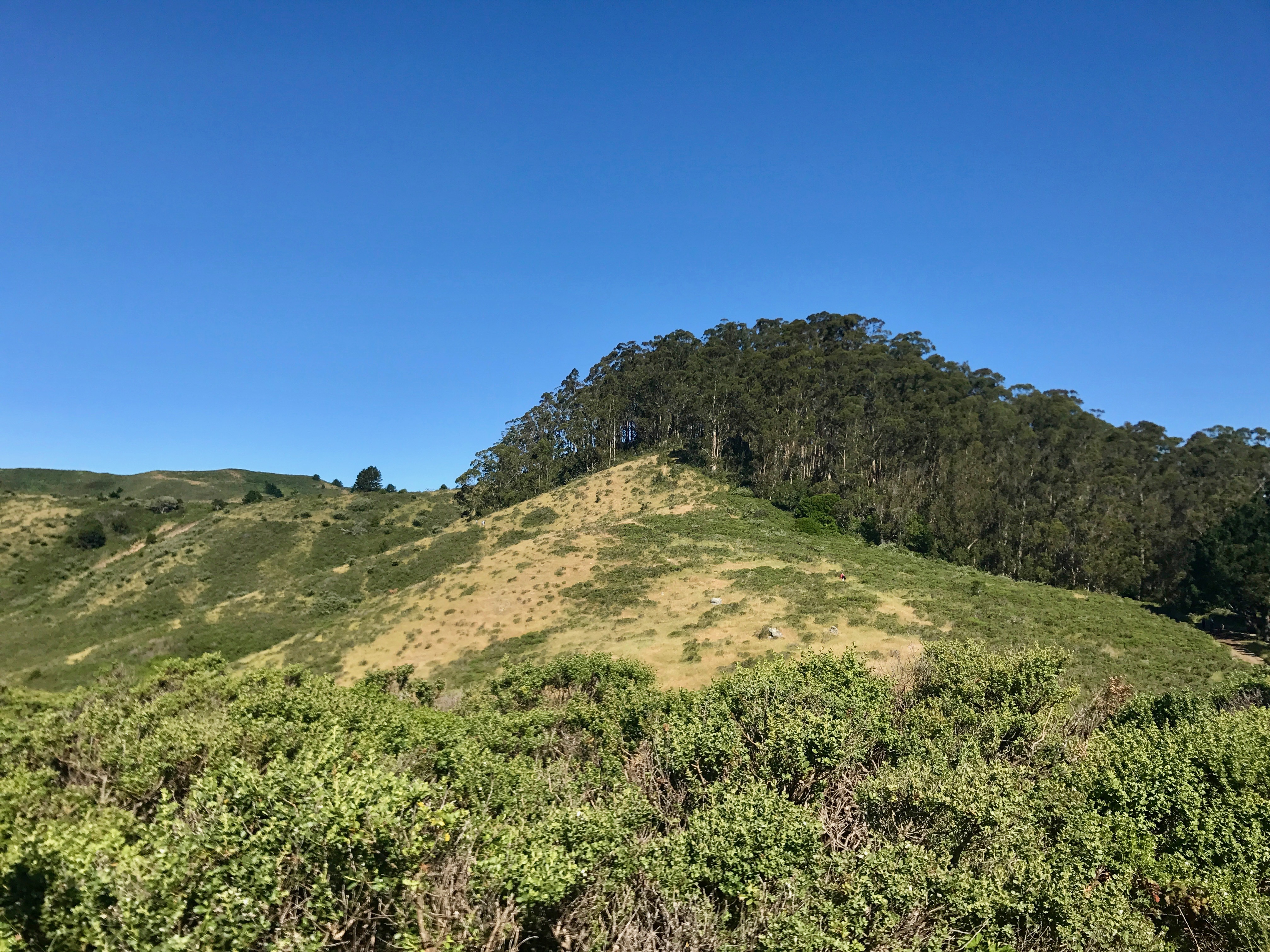Coyote Ridge Loop