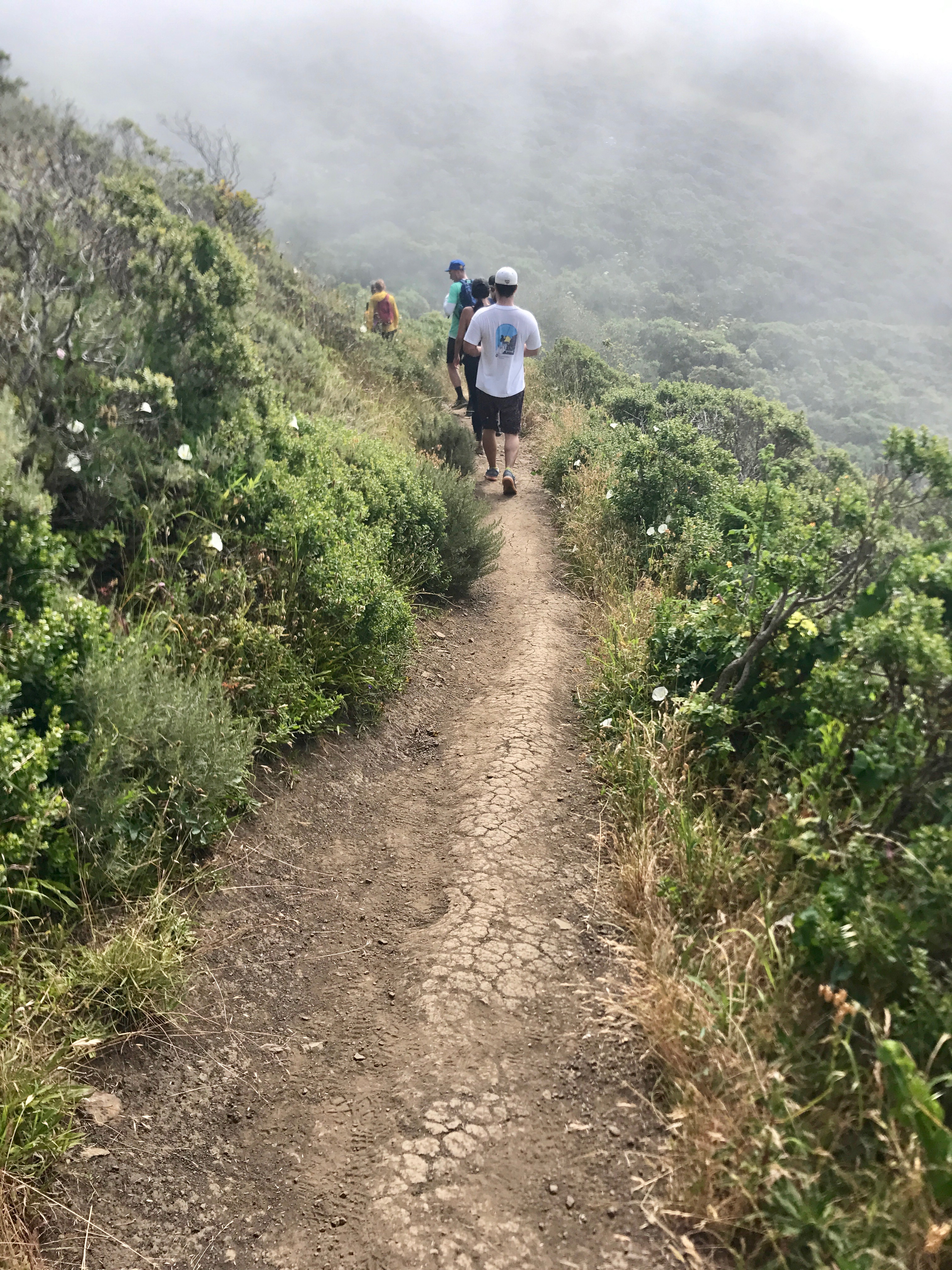 Coyote Ridge Loop