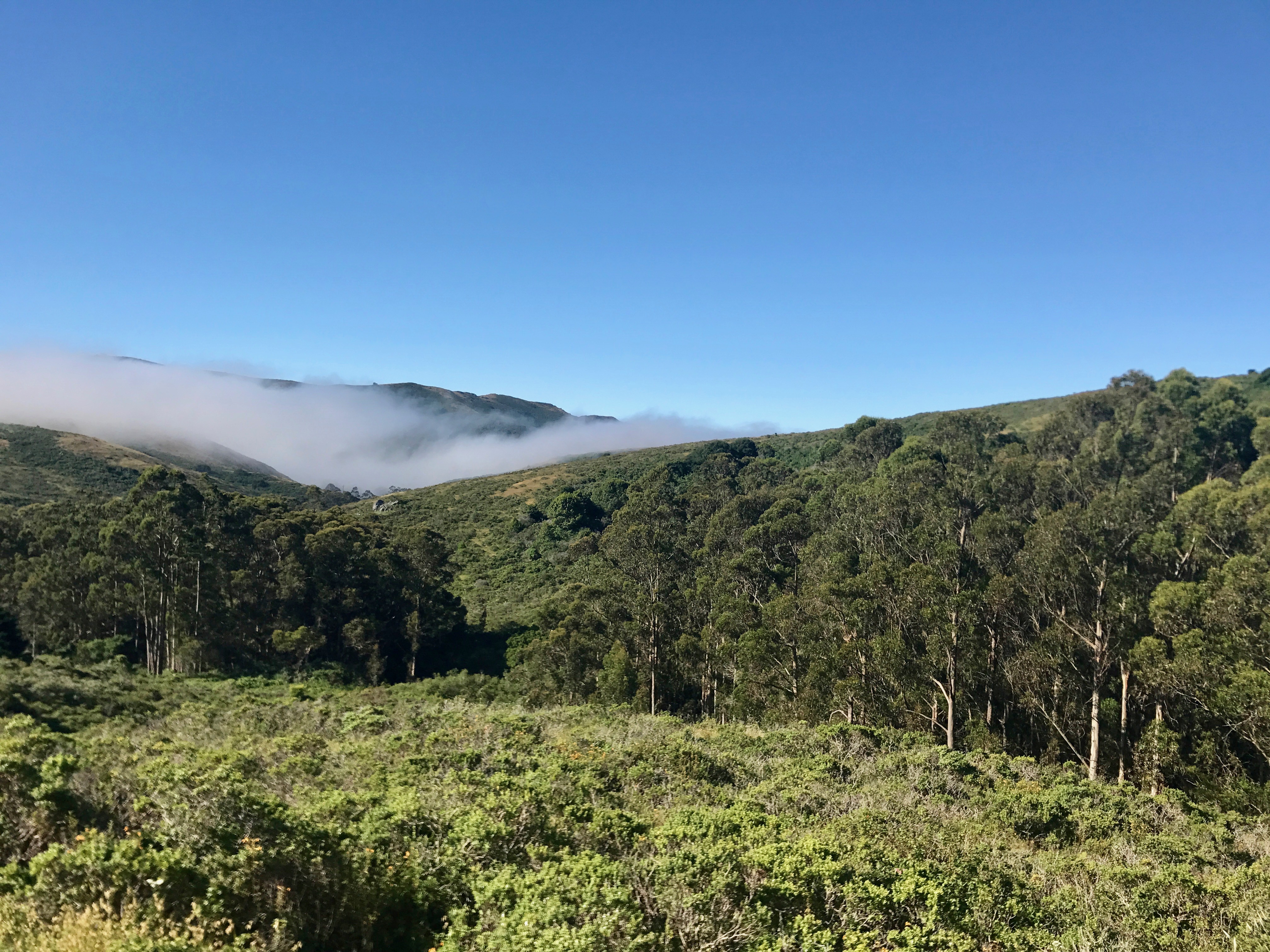 Coyote Ridge Loop