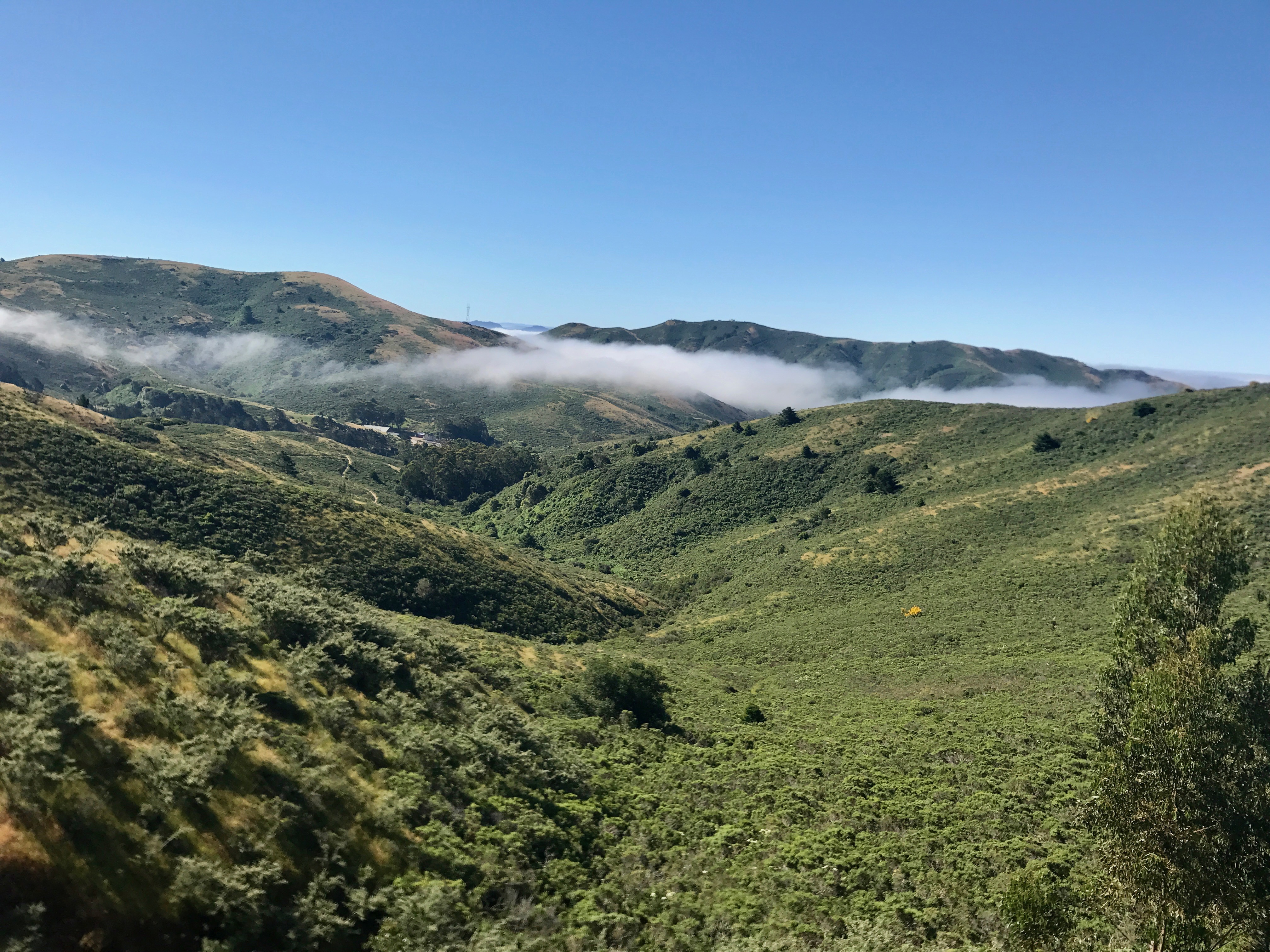 Coyote Ridge Loop