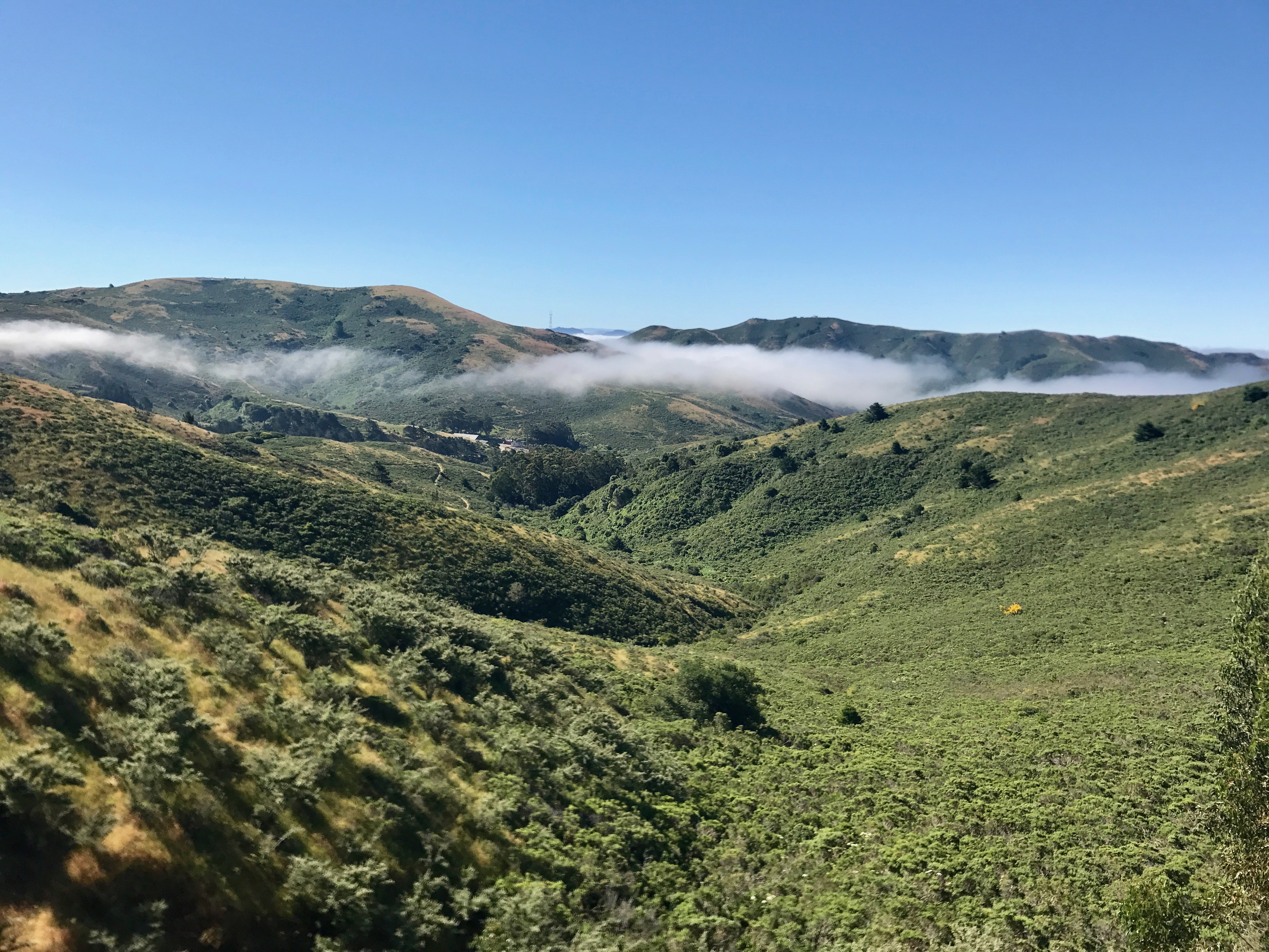 Coyote Ridge Loop