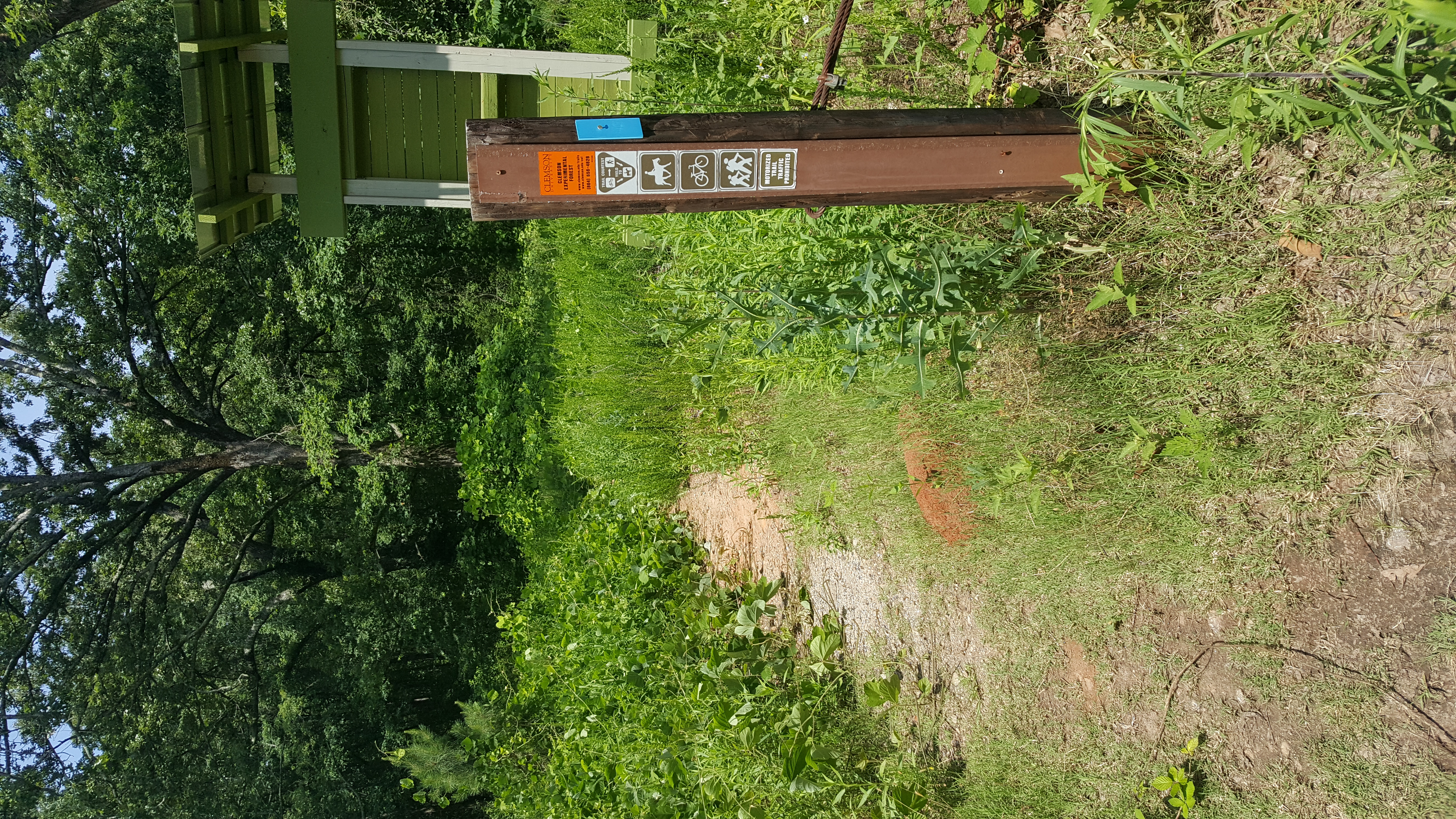 Bike the Fant's Grove Trails in the Clemson Experimental Forest