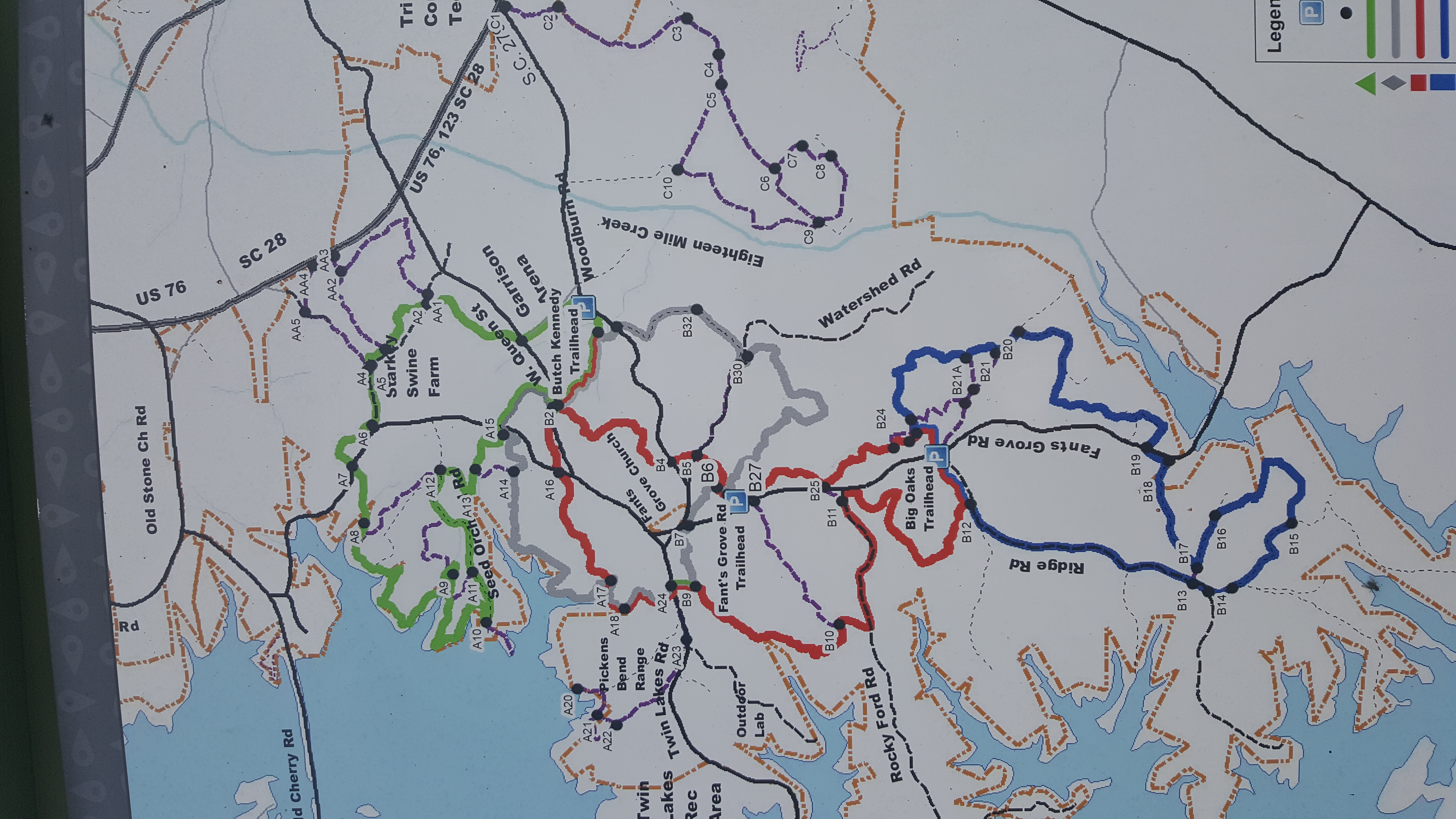 Bike the Fant's Grove Trails in the Clemson Experimental Forest