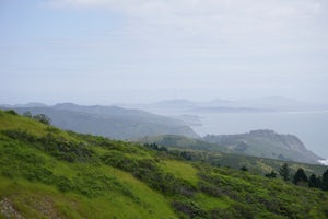 Steep Ravine and Bootjack Trails Loop