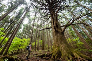 Climb Mt. Buko (武甲山)