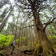 Climb Mt. Buko (武甲山)