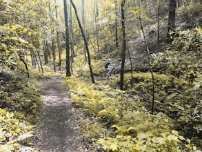 Mountain Bike the Brush Creek Trail (Tanasi Trail System)