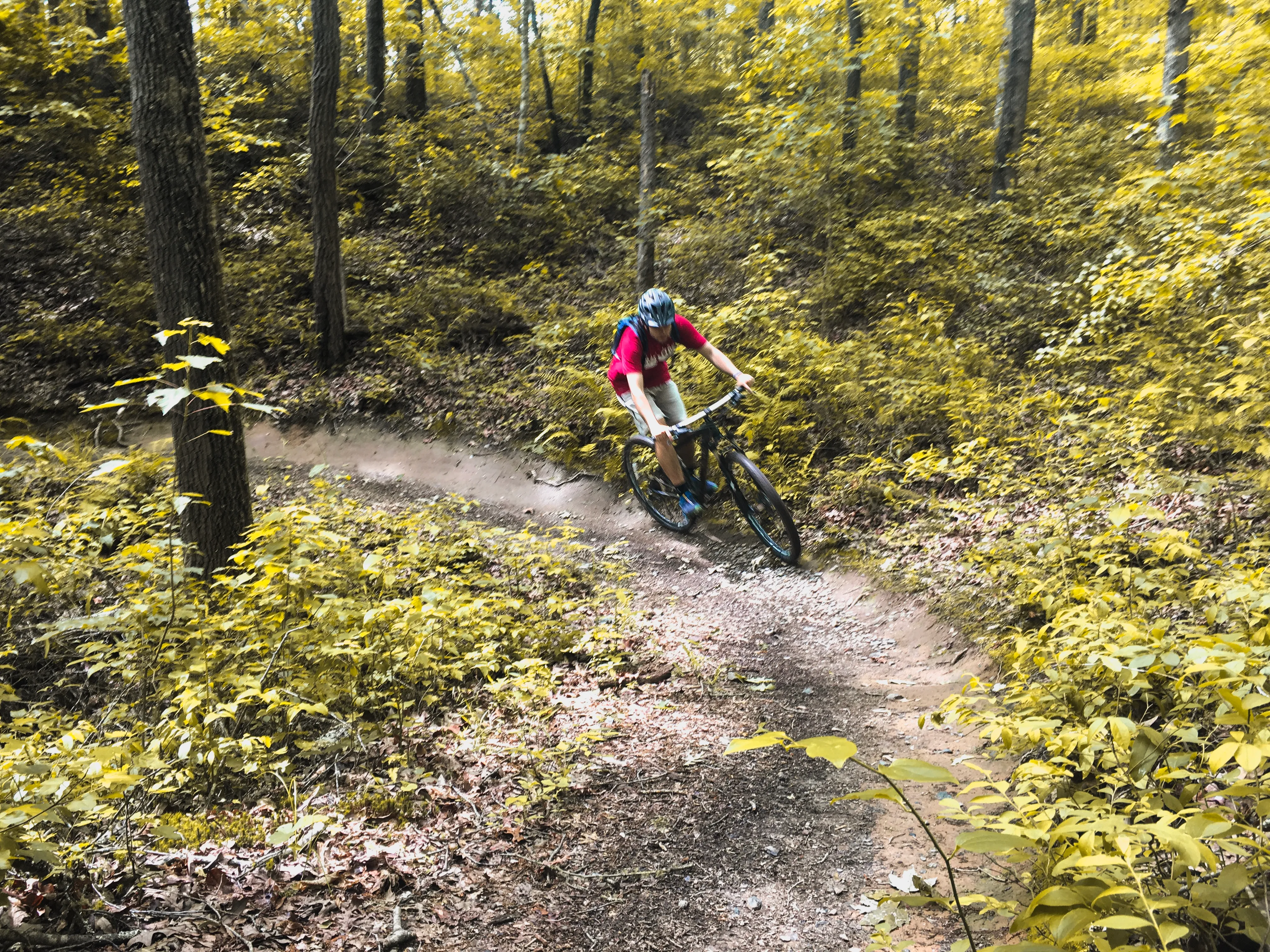 Mountain Bike the Brush Creek Trail (Tanasi Trail System)