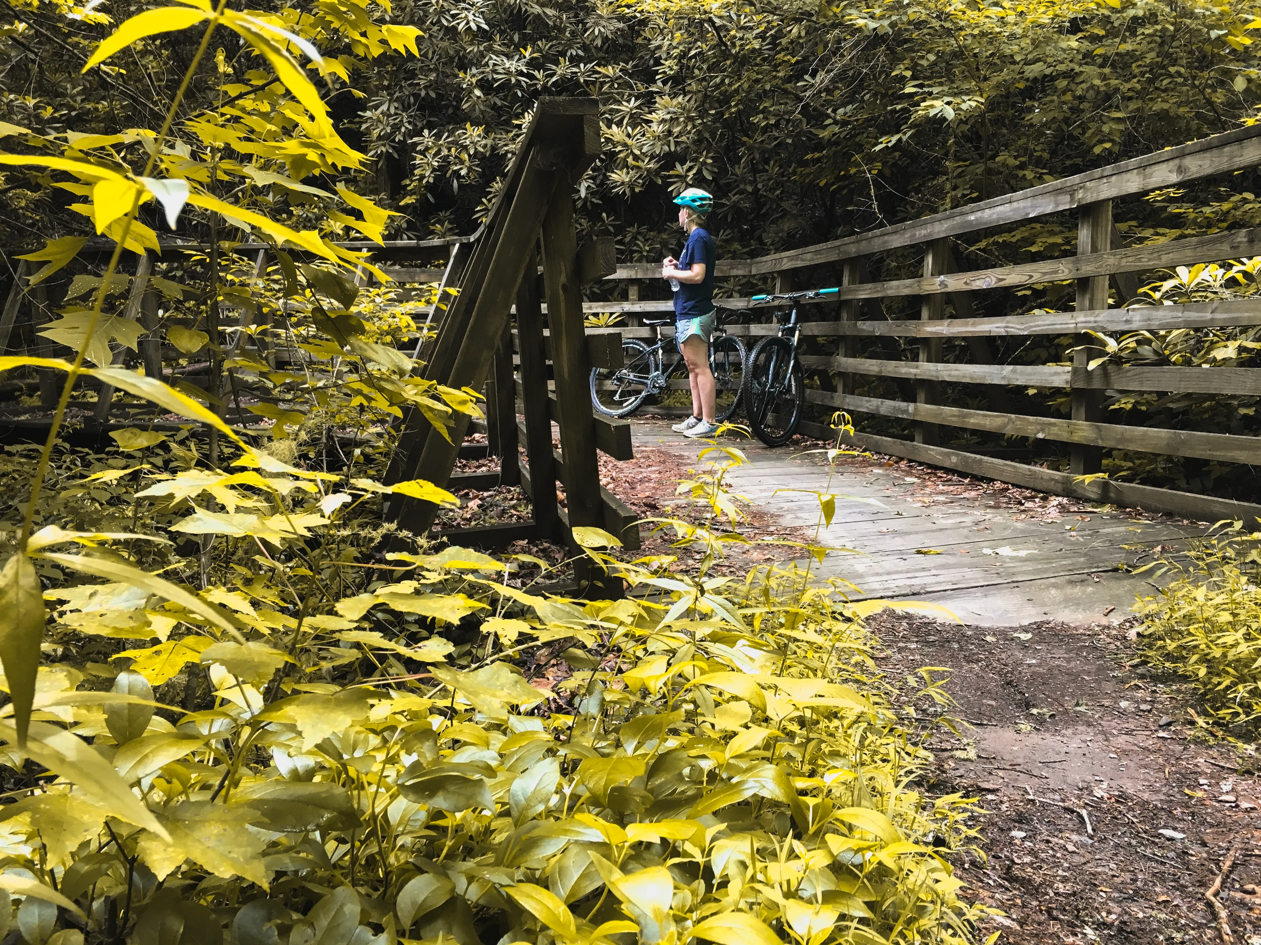 Mountain Bike the Brush Creek Trail (Tanasi Trail System)