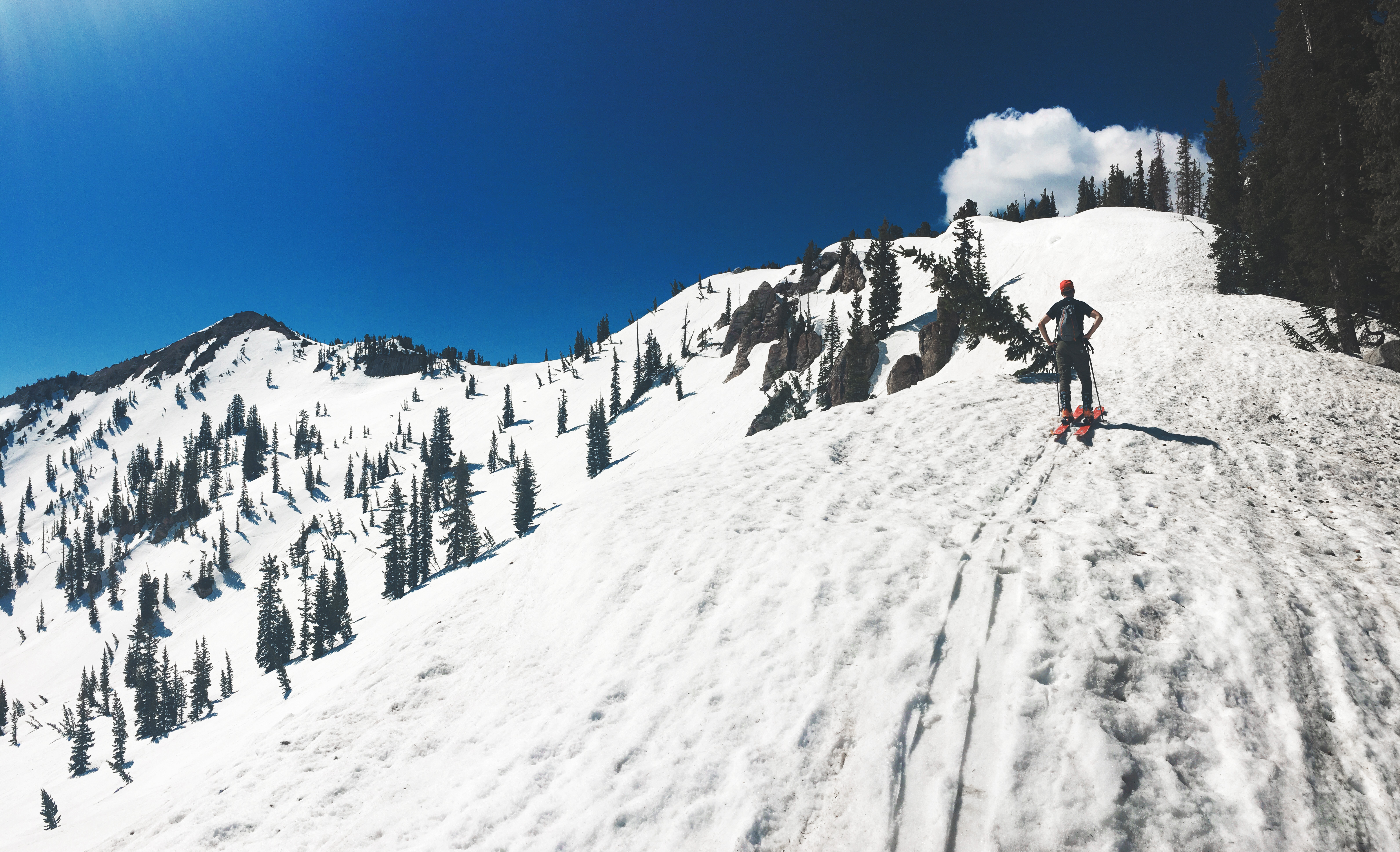 Spring Backcountry Ski Alta Ski Area