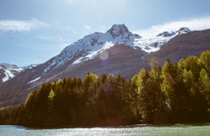 BC's Final Frontier: Forestry Roads 