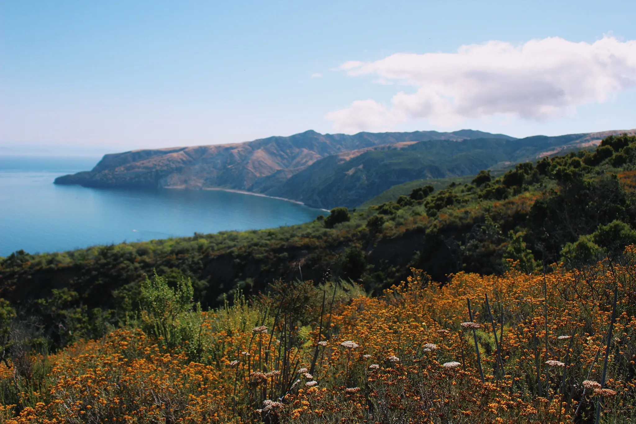 Prisoner's Cove to Scorpion Anchorage