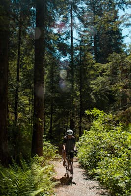 Bike the Seymour Valley Trailway & Old Growth Trail 