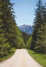 Bike the Seymour Valley Trailway & Old Growth Trail 