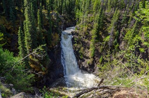 Barbour Falls Trail