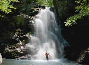 5 Virginia Waterfalls to Swim in This Summer
