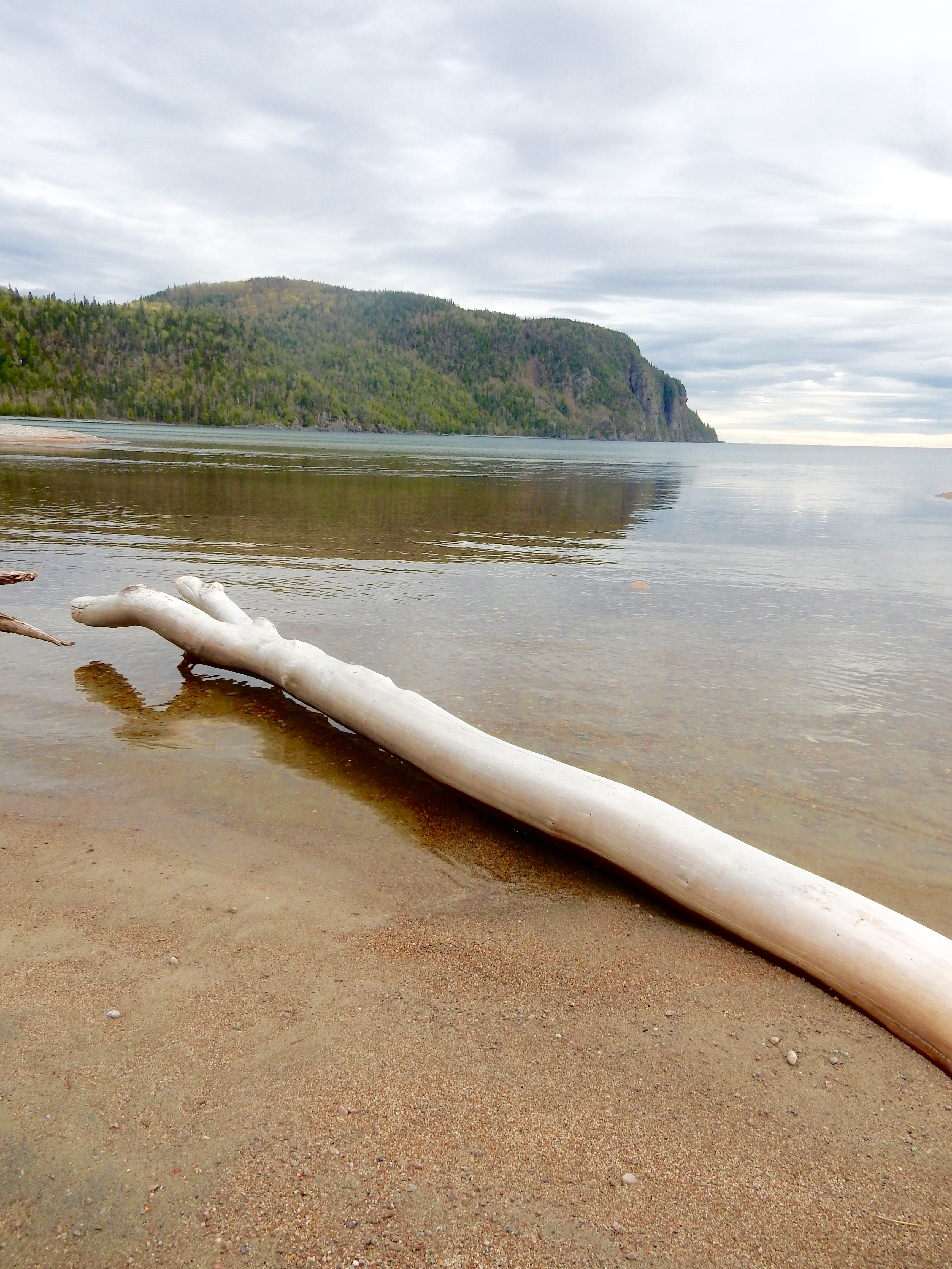 Photograph Old Woman Bay