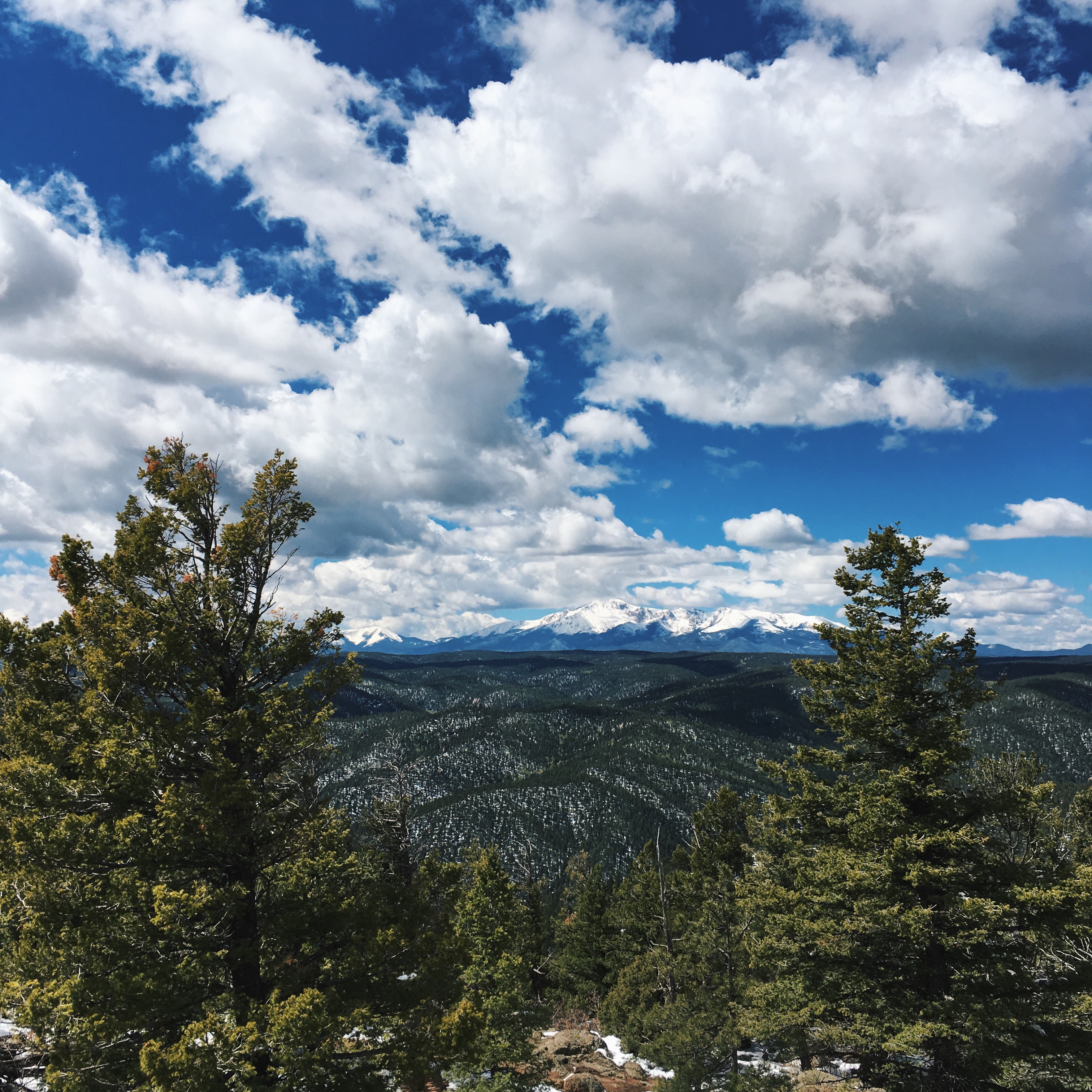 Mt. Herman & 715 Loop