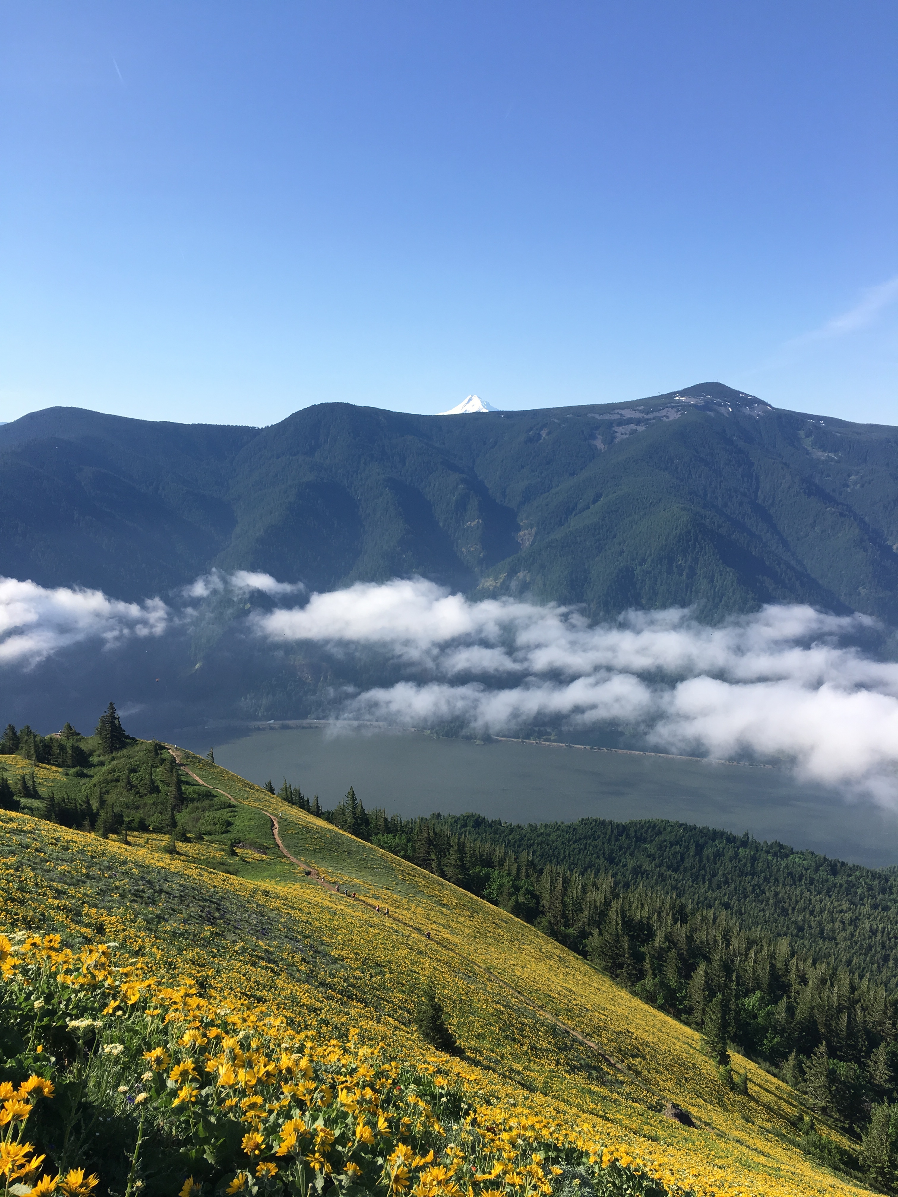 Dog Mountain: The Steeper Route