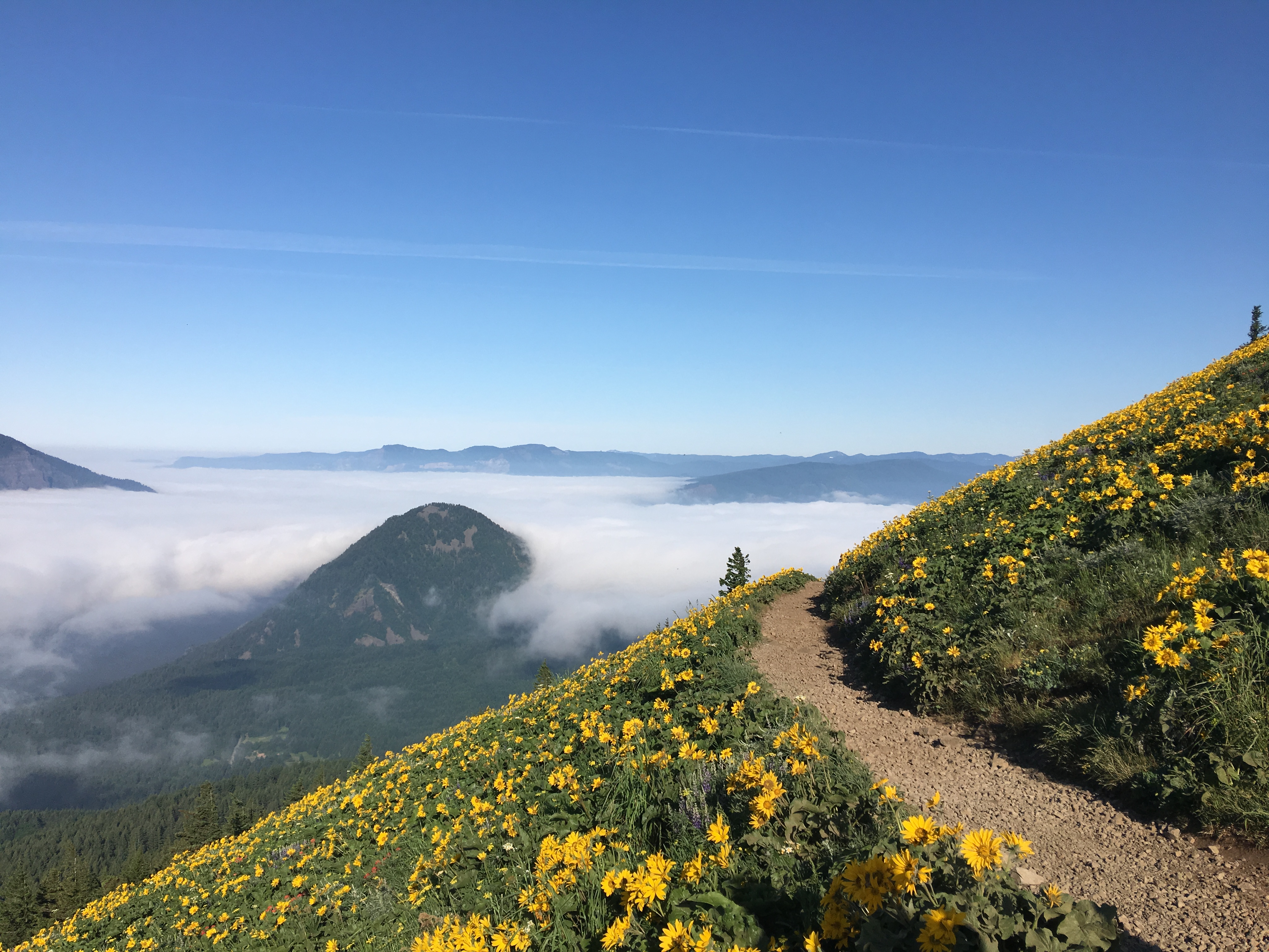 Dog Mountain: The Steeper Route