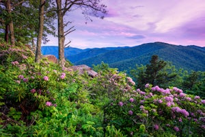 Photograph 20 Minute Cliff Overlook