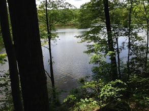 Hike the Hemlock Hills & Pine Mountain Loop