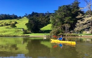 Paddle on the Puhoi River