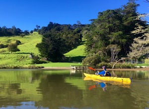 Paddle on the Puhoi River