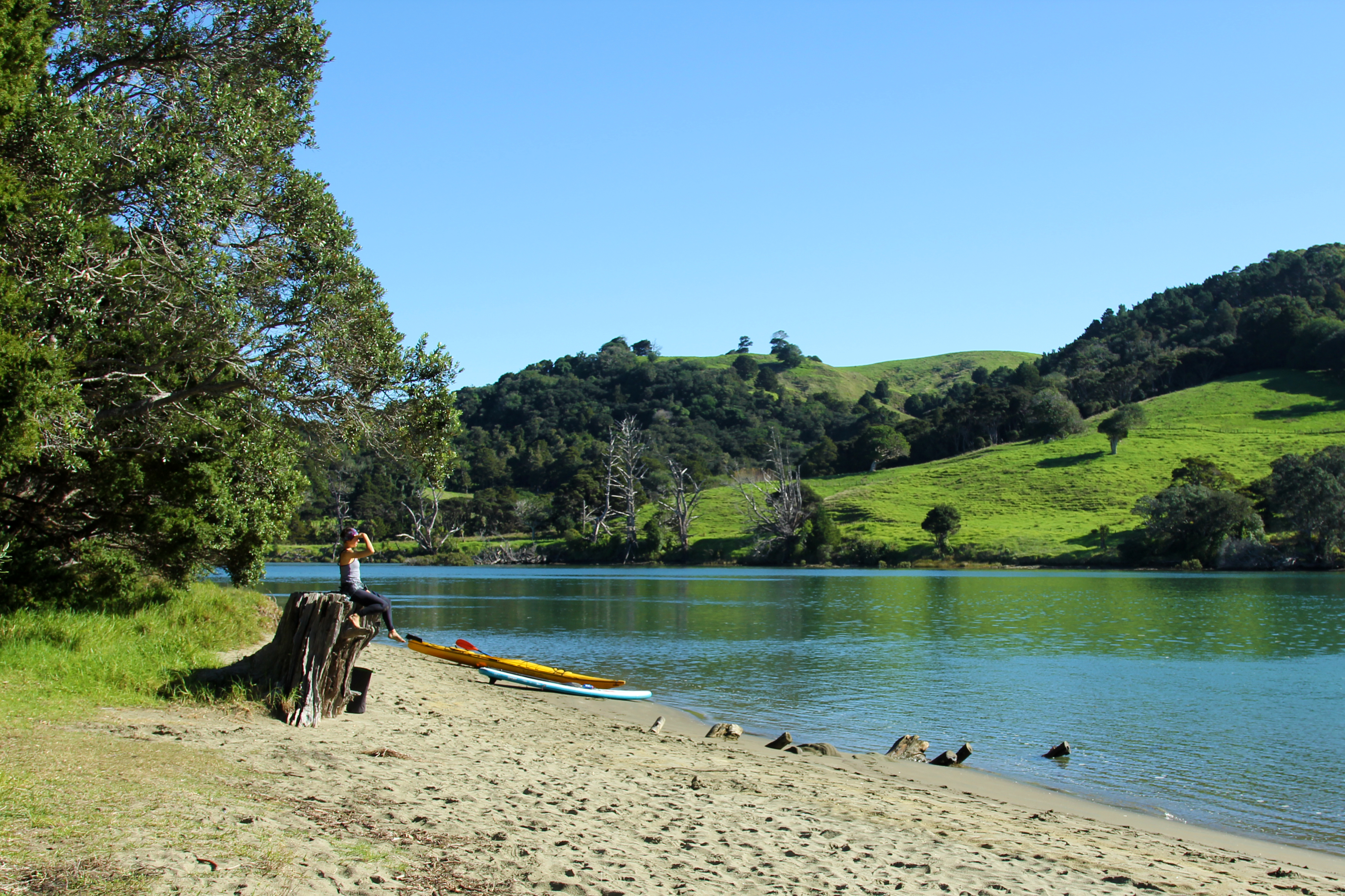 Paddle on the Puhoi River
