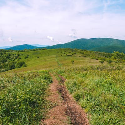 Hike to Bradley Gap along the Appalachian Trail