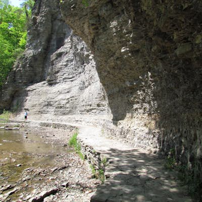 Hike the Rim/Gorge Trail and Robert Treman State Park
