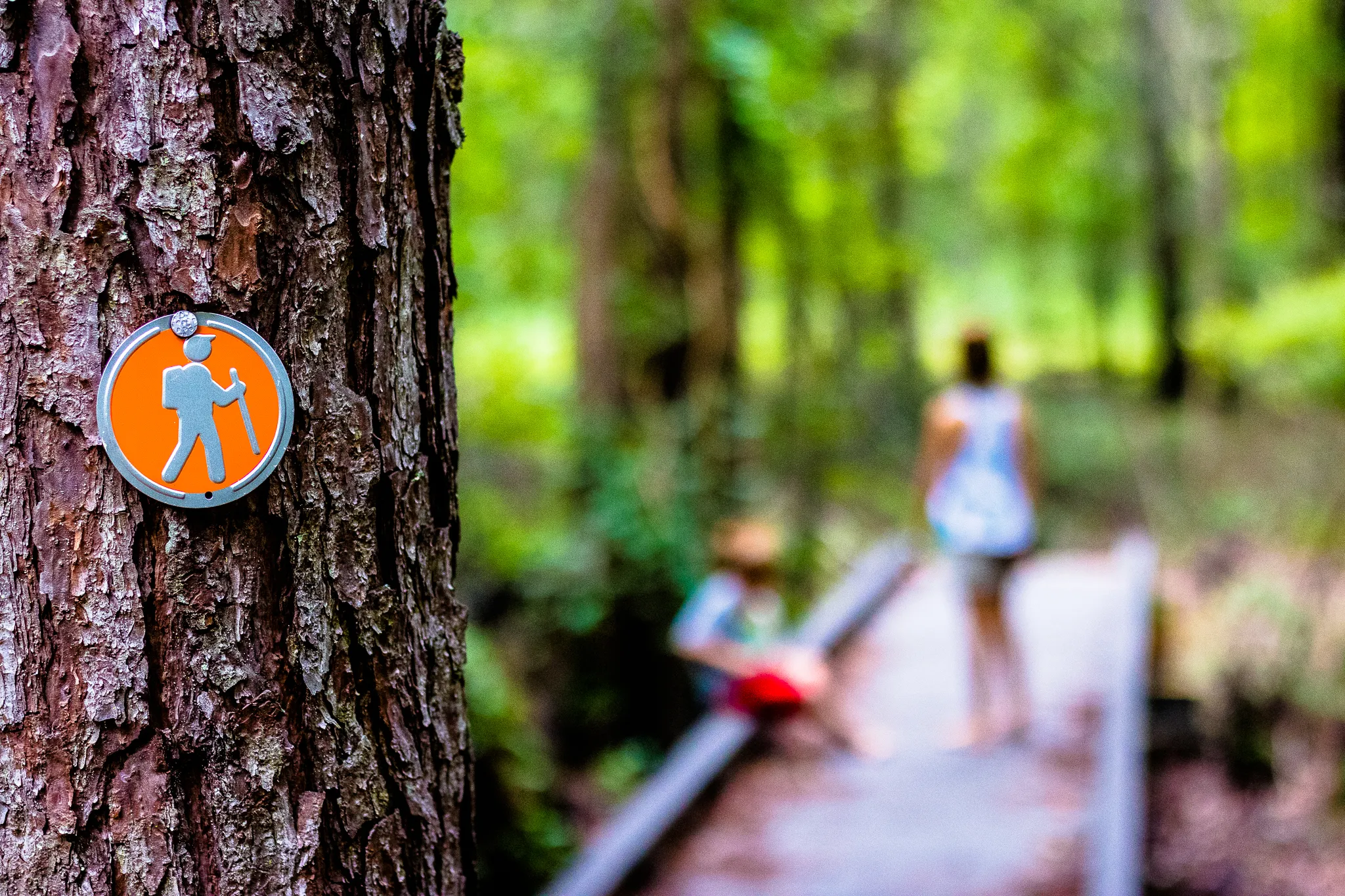Hike the Bear-N-Oak Trail to Indian Lake