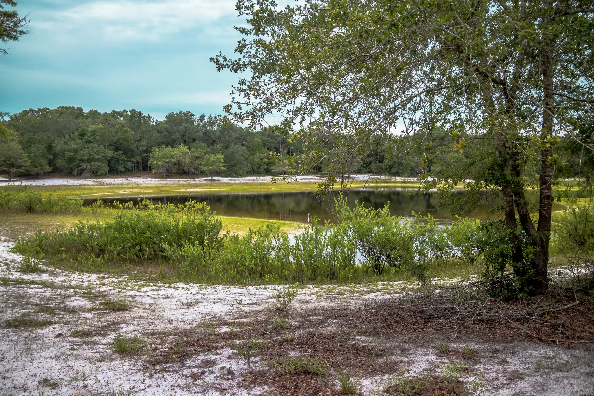 Hike the Bear-N-Oak Trail to Indian Lake