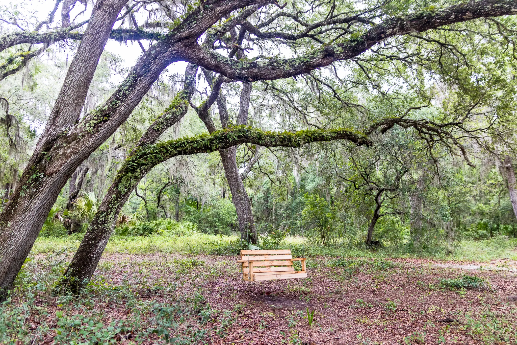 Hike the Bear-N-Oak Trail to Indian Lake