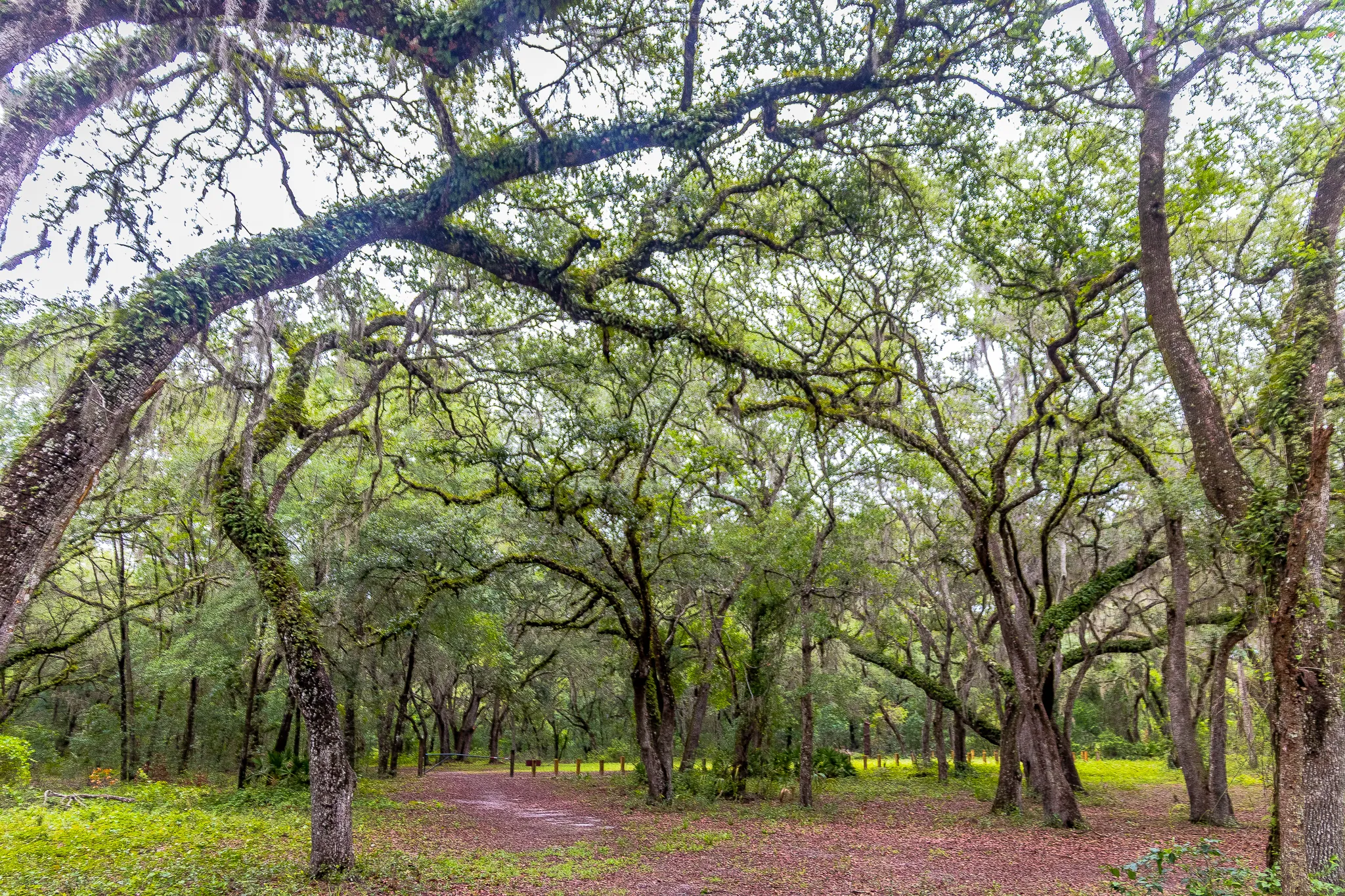 Hike the Bear-N-Oak Trail to Indian Lake