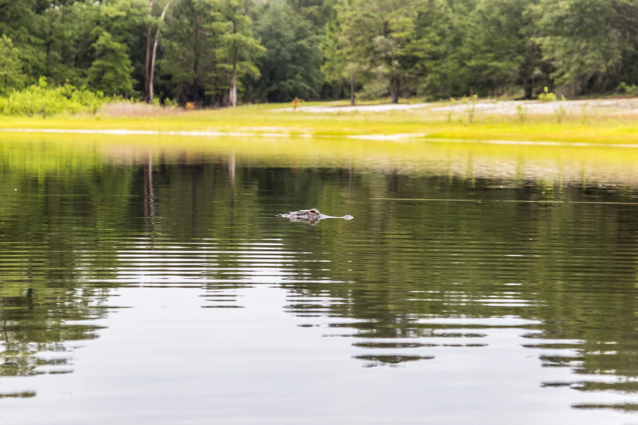 Hike the Bear-N-Oak Trail to Indian Lake