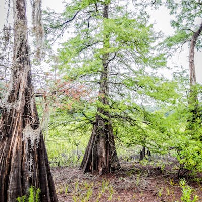 Hike the Bear-N-Oak Trail to Indian Lake