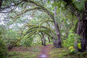 Hike the Bear-N-Oak Trail to Indian Lake