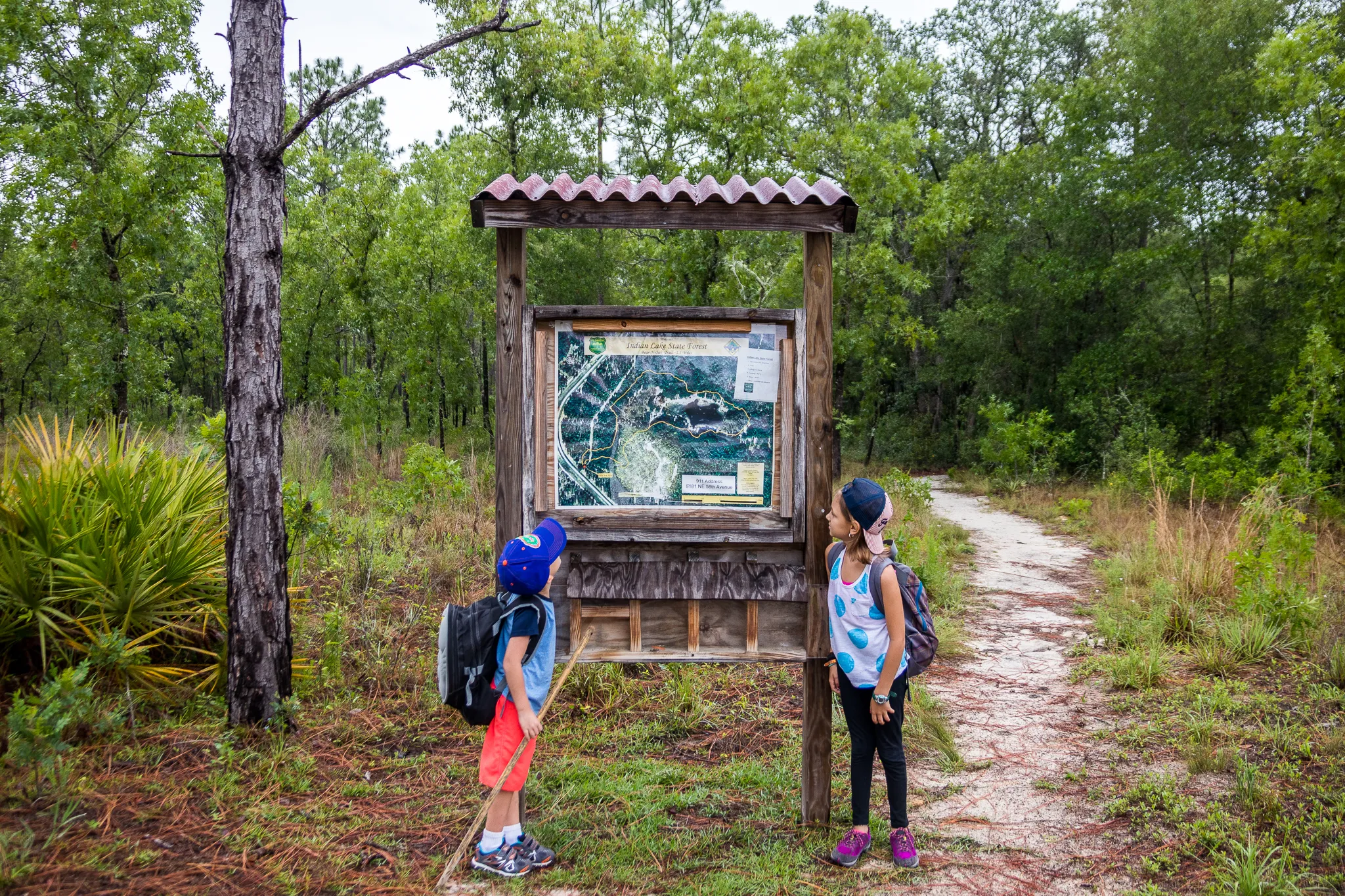 Hike the Bear-N-Oak Trail to Indian Lake