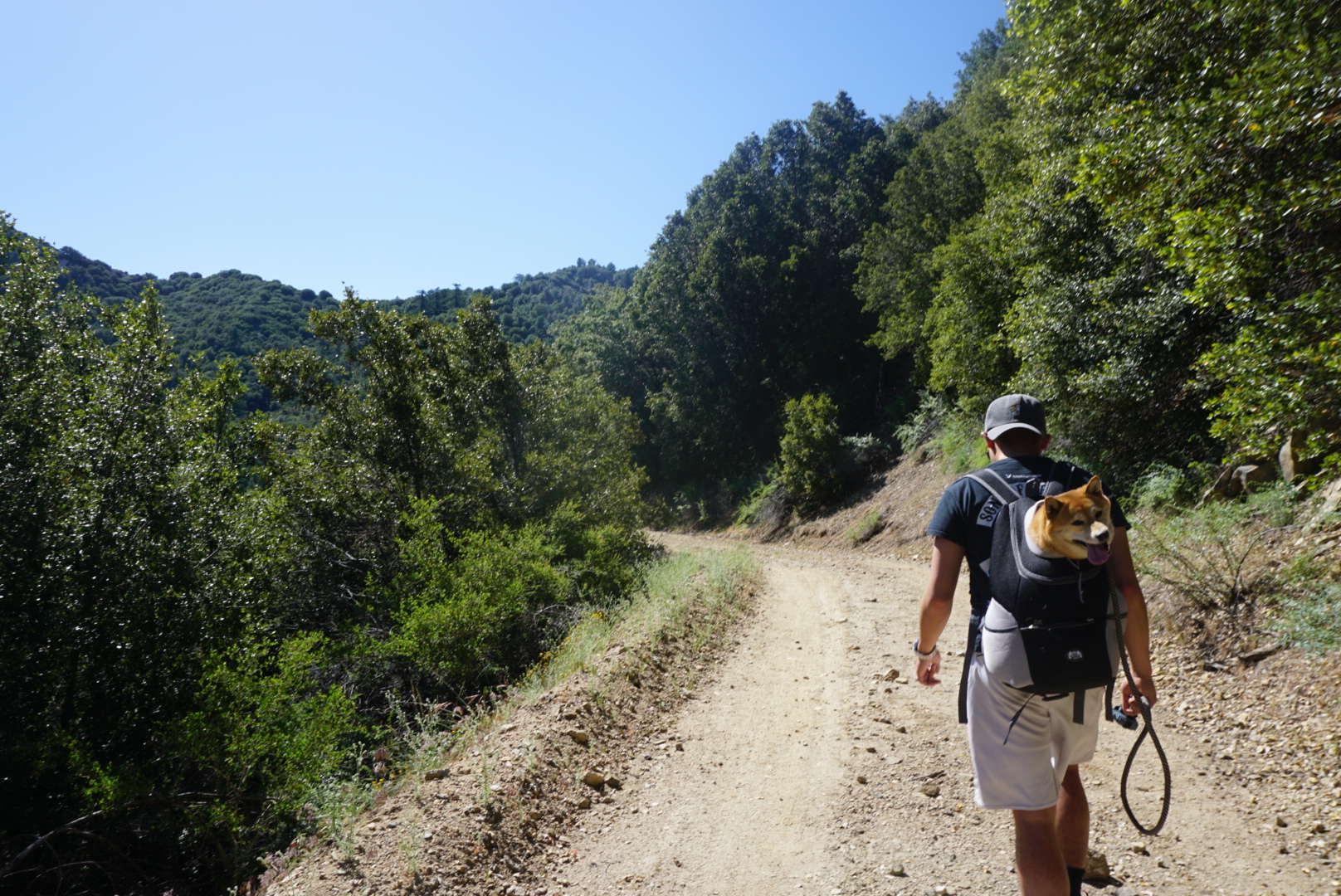 Sunset Peak via South Trailhead
