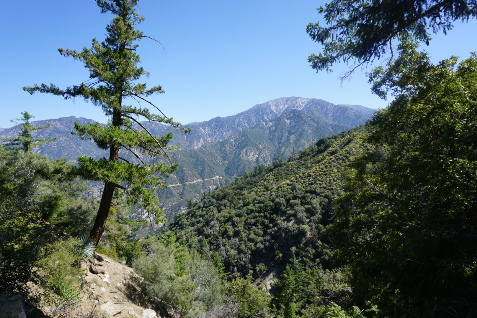 Sunset Peak via South Trailhead
