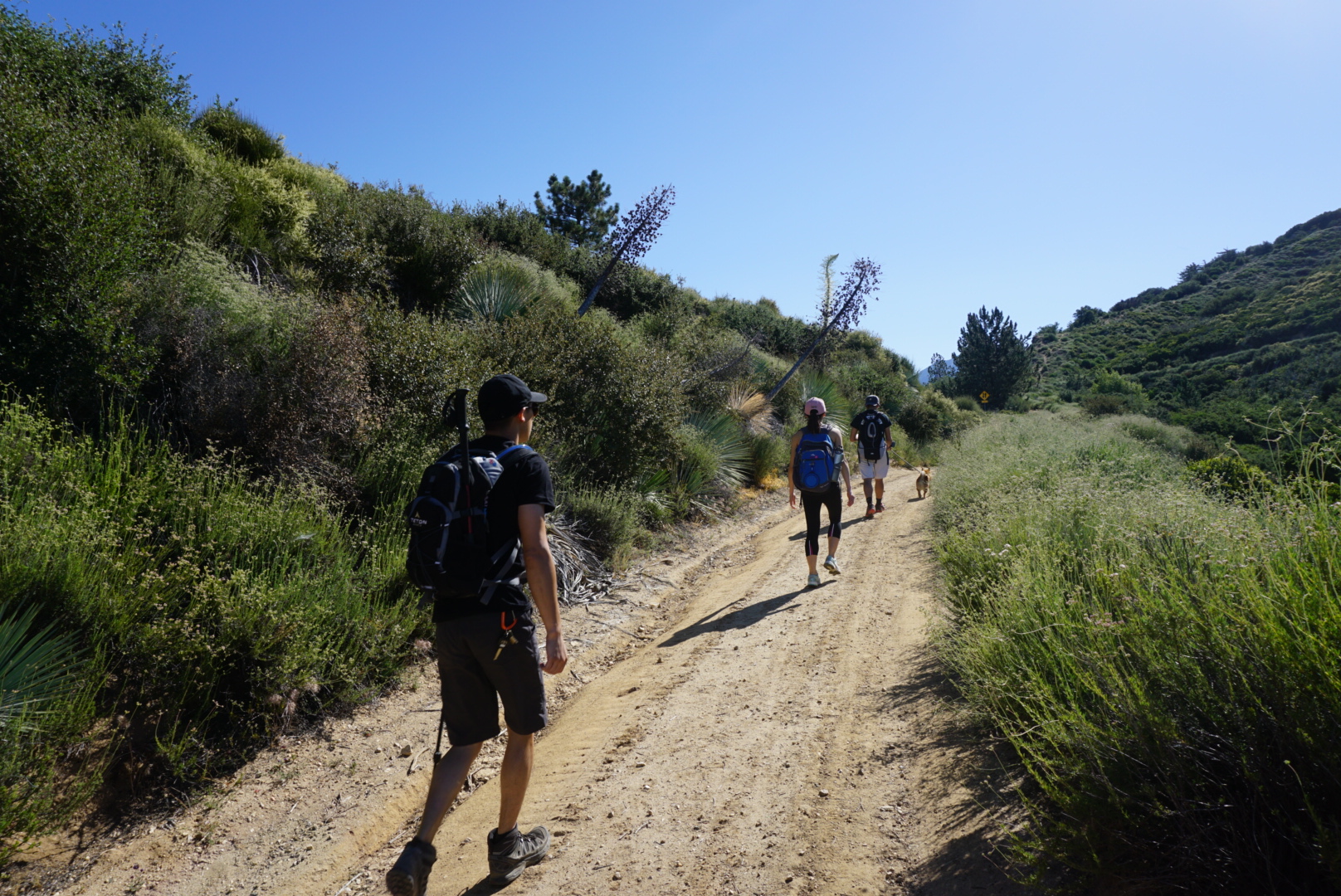 Sunset Peak via South Trailhead