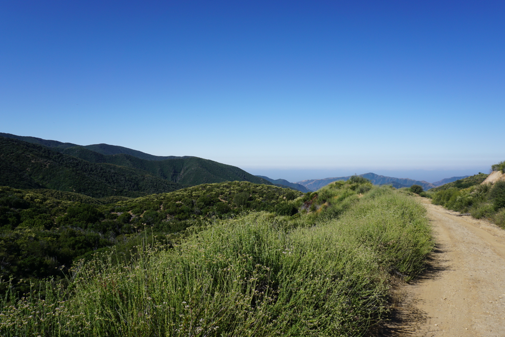 Sunset Peak via South Trailhead
