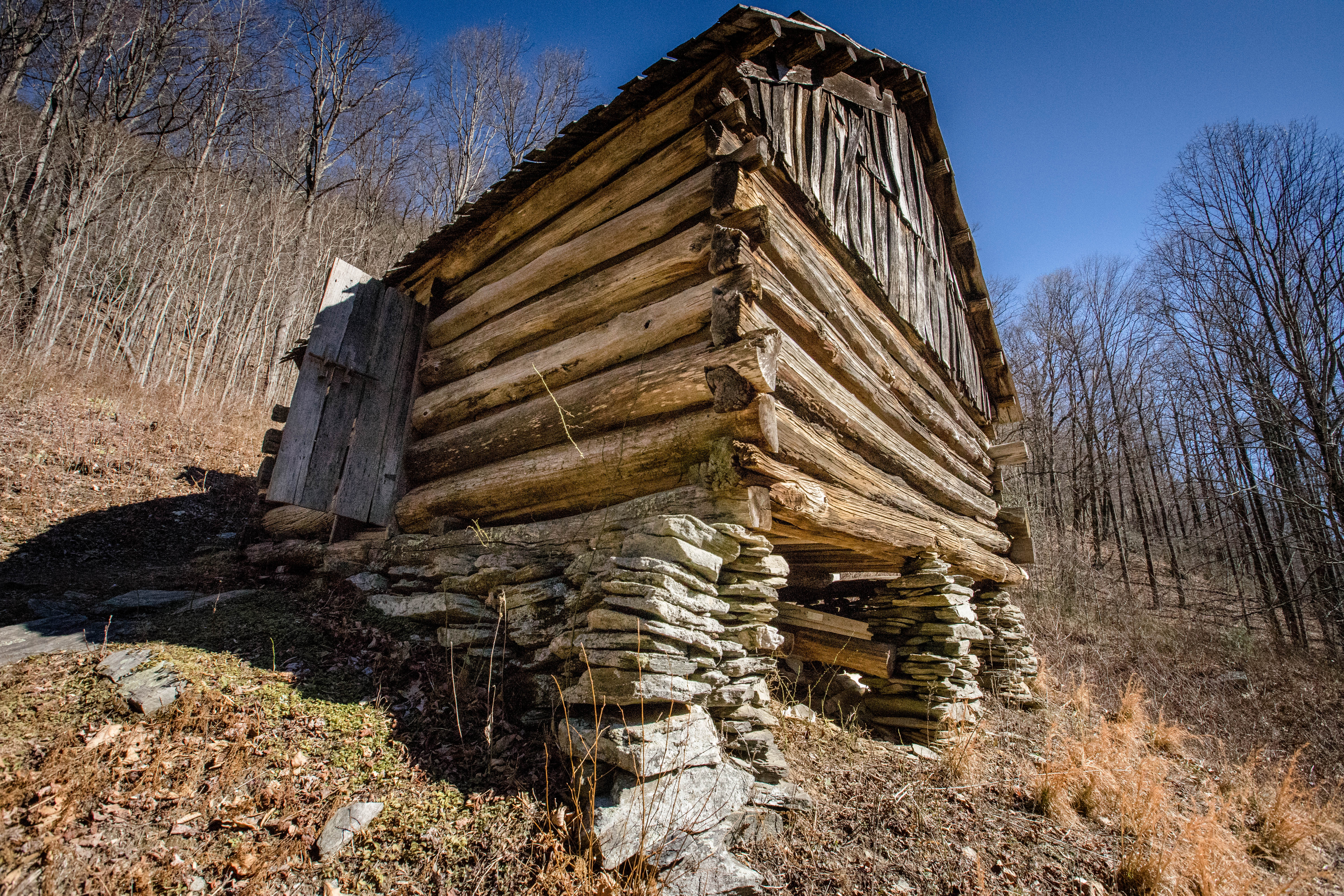 Hike along Basin Creek in Doughton Park, Hays, North Carolina