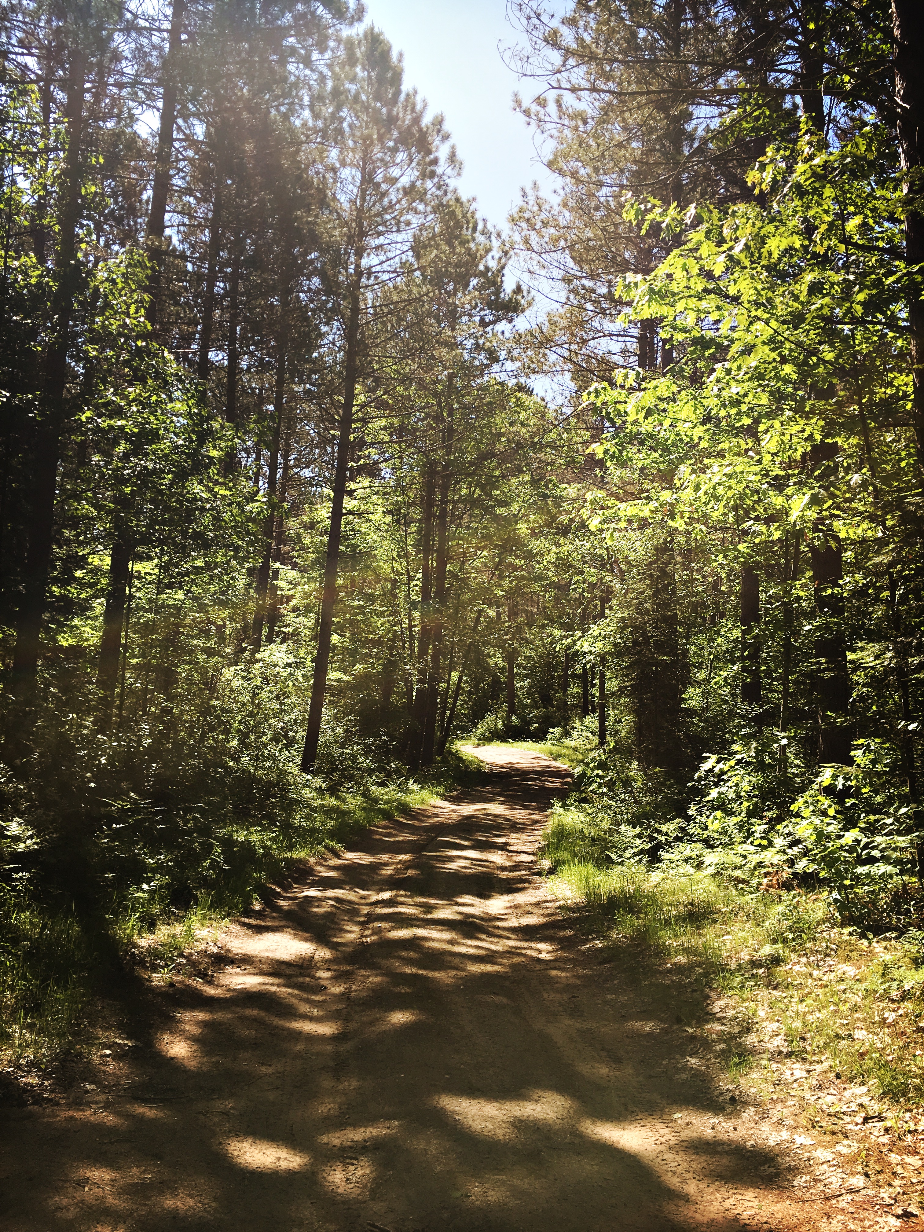Hike or Bike the NHAL Raven Trails