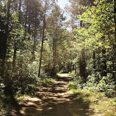 Hike or Bike the NHAL Raven Trails