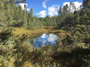 Hike or Bike the NHAL Raven Trails