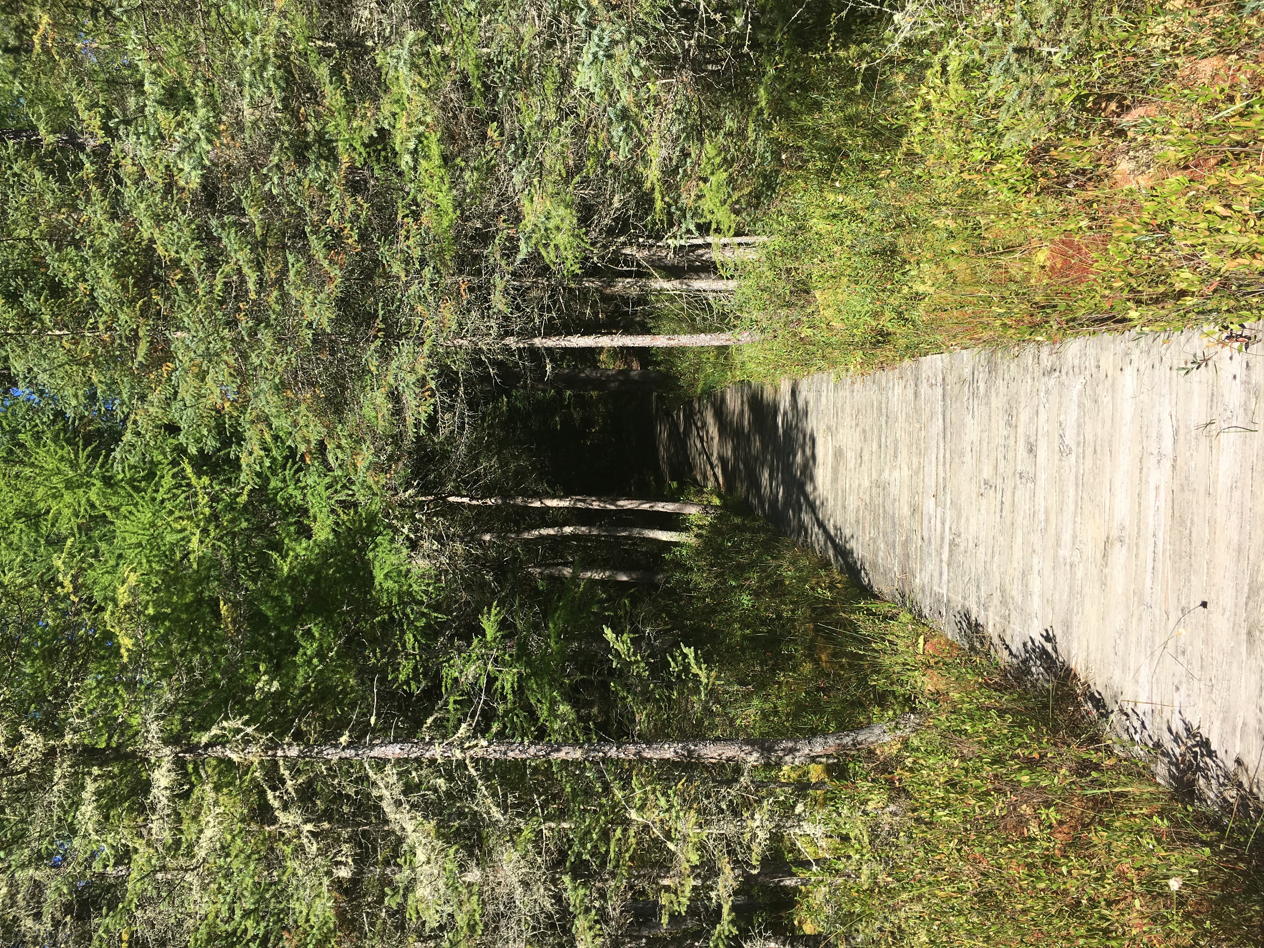 Hike or Bike the NHAL Raven Trails